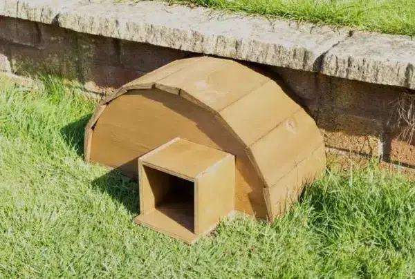 Handmade wooden hedgehog house