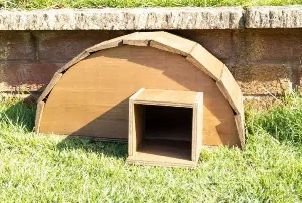 Handmade wooden hedgehog house