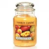 Yankee Candle Large Jar, Mango Peach Salsa
