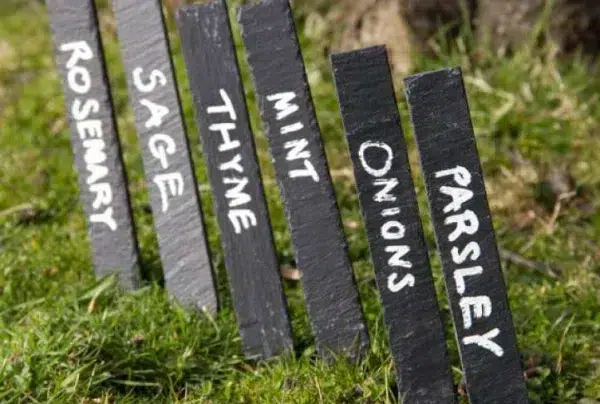 Set of 6 slate plant markers