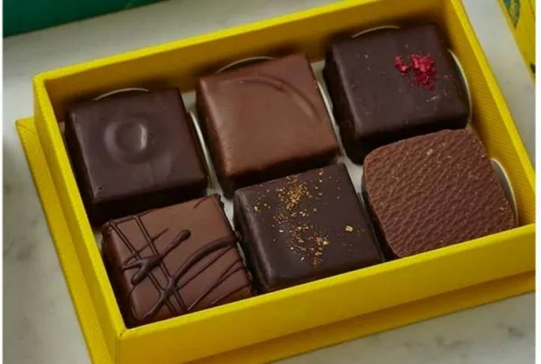 Chocolate pralines & ganache selection box, 60g