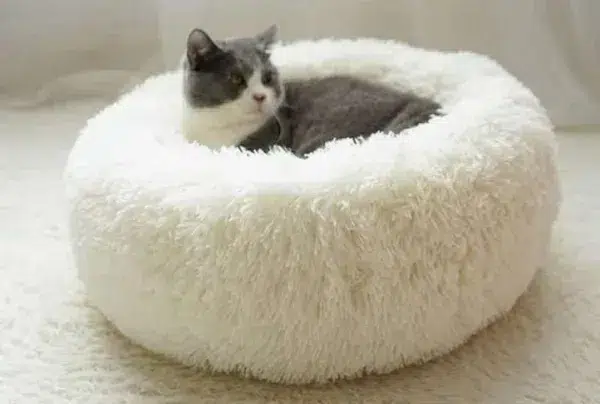Super soft & plush medium pet bed - white