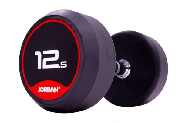 12. 5kg jordan classic round dumbbells x 2