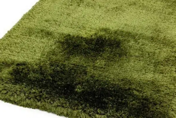 Green plush shaggy rug, various sizes