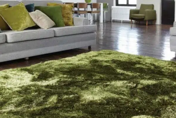Green plush shaggy rug, various sizes