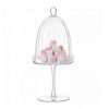Narrow Glass Dome Stand