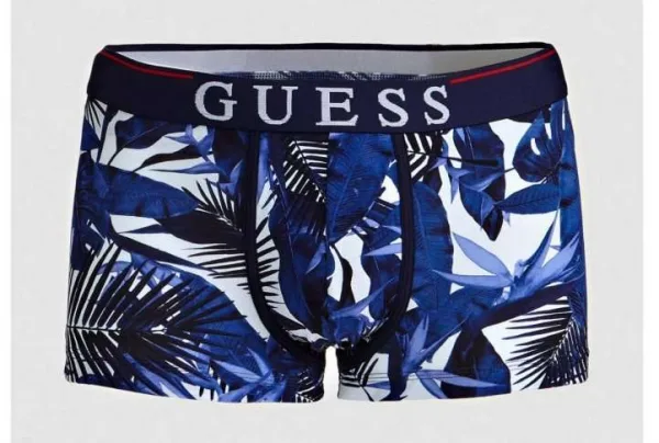 Guess boxers with pattern print, blue multi