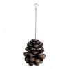 Pinecone Bird Feeder