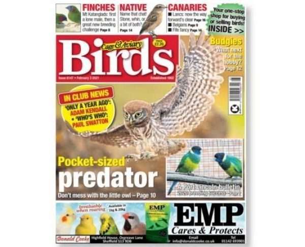 Cage & Aviary Birds Magazine Subscription