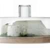 32cm Glass and Ash Cheese, Pastries Serving Dome.
