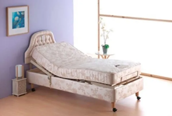 Richmond double adjustable bed