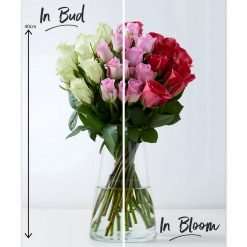 Spring Rose Abundance Bouquet, White, Pink & Red