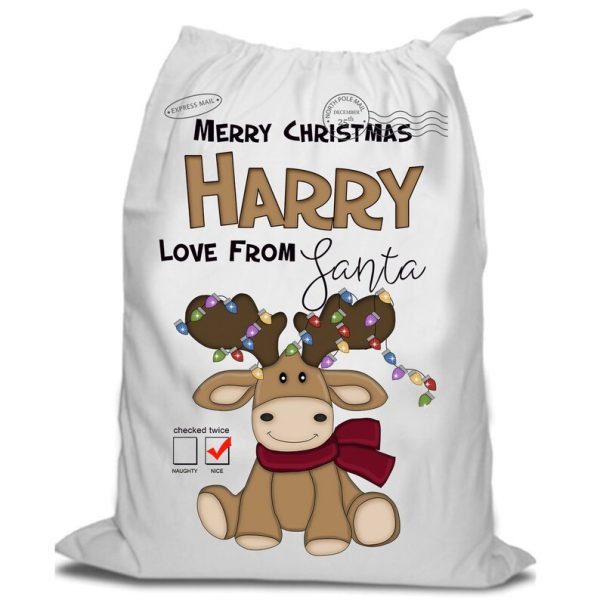 Personalised Moose With Lights Santa Sack, 70cm