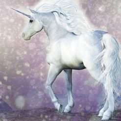 Magical Unicorn Wall Mural, 300 x 280cm