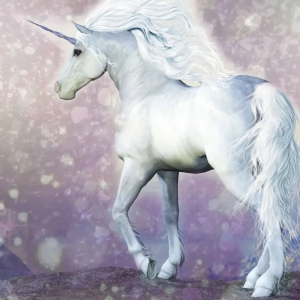 Magical Unicorn Wall Mural, 300 x 280cm