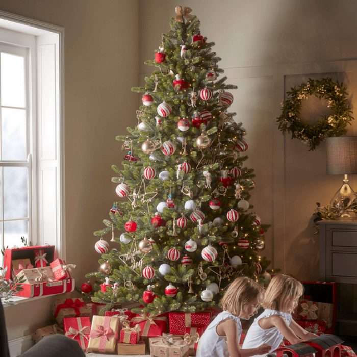 Indoor Outdoor Fabulous PreLit Pine Tree, 10ft Absolute Home