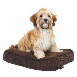 Arlot Brown Pet Pillow - 47cm