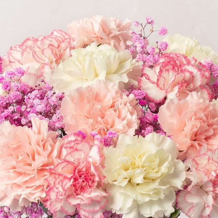 Pink confetti carnation & gypsophila, letterbox friendly bouquet