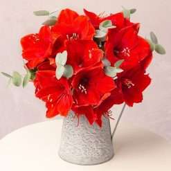 Festive Amaryllis and Eucalyptus, Flowers By Post