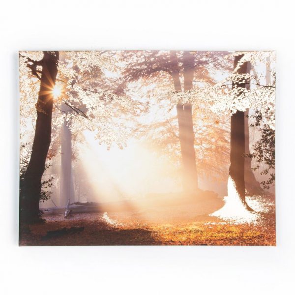 Metallic Forest Printed Wall Art, 60 x 80cm