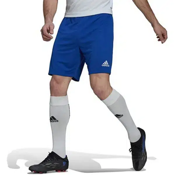 Adidas entrada aerodready shorts, blue, large