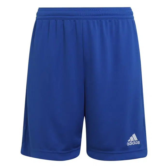 Adidas entrada aeroready shorts, blue, large