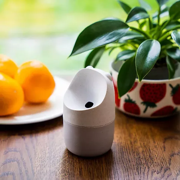 Konna eco-friendly fly catcher