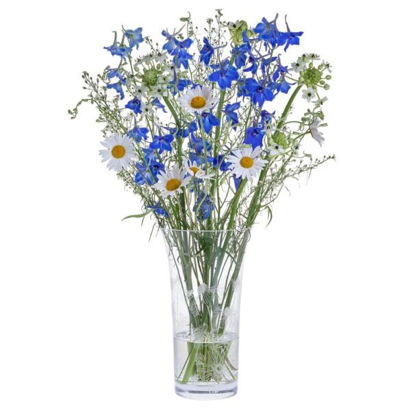 Vases & Flowers