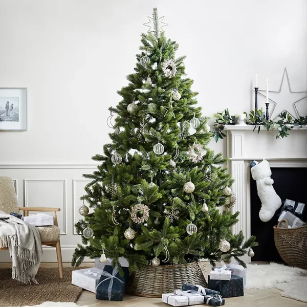 Symons Nordmann Fir Christmas Tree - 7.5ft