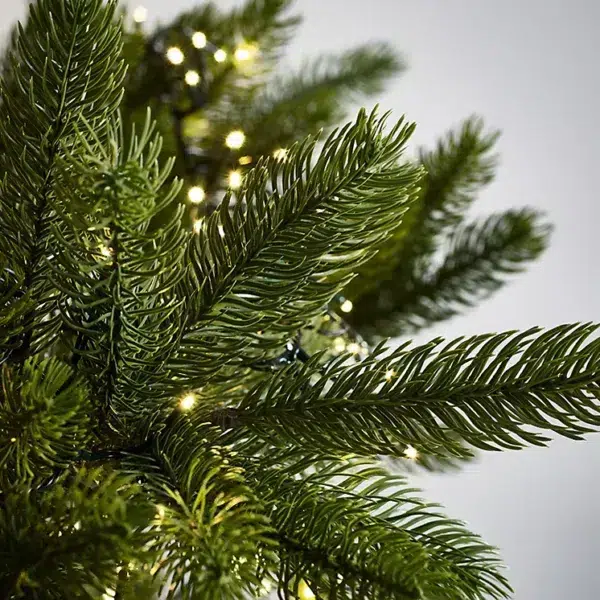 Symons nordmann fir christmas tree - 7. 5ft