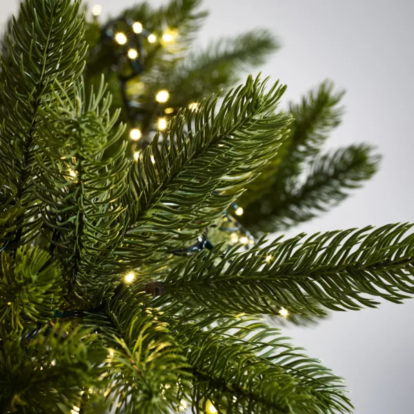Symons nordmann 7. 6ft fir christmas tree
