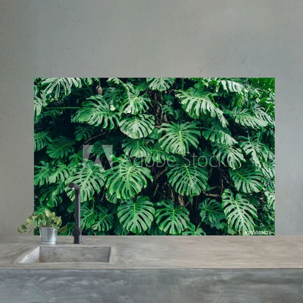 Monstera plant custom splashback - for kitchen & bathroom