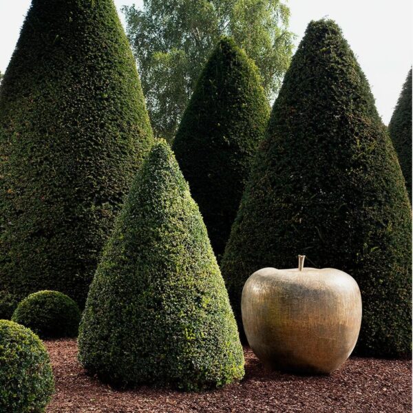 Foundry Bronze Apple Sculpture