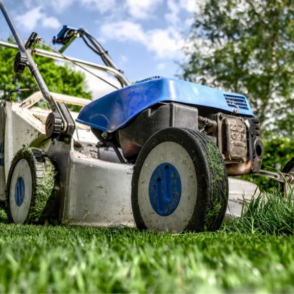 Book a Grass Cutting and Mowing Professional