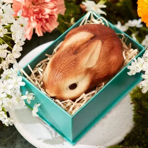 Milk Chocolate Easter Bunny in a Box, 130g