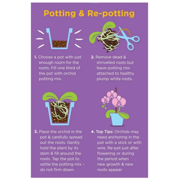 Westland orchid potting compost mix