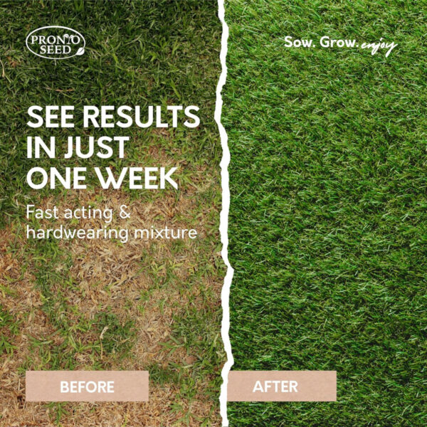 Pronto seed grass seed - 1. 4kg - image 3