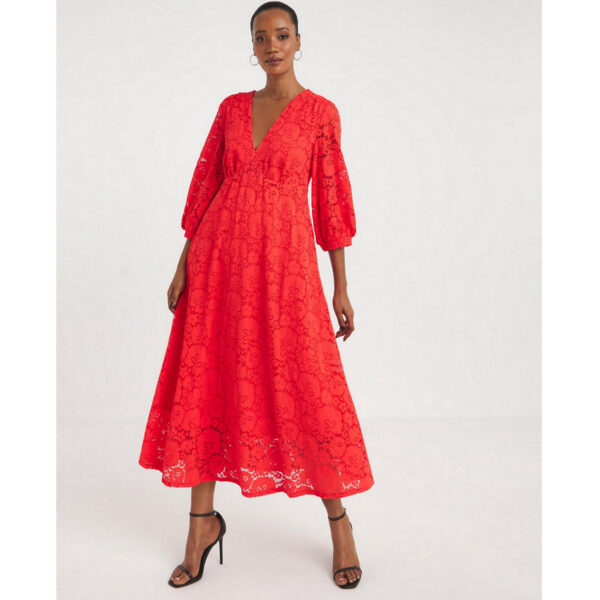 Joanna hope stretch lace dress
