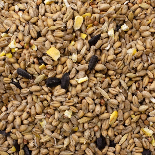 20kg Original Wild Bird Seed Mix