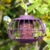 The Nuttery Chinese Lantern Squirrel Proof Peanut Feeder