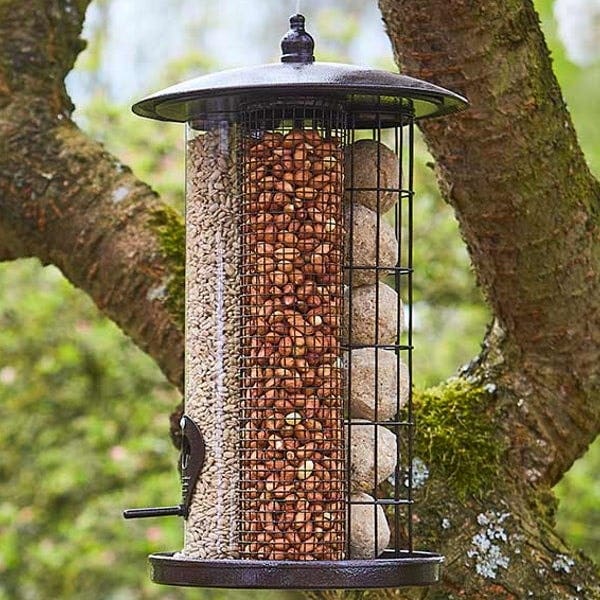 Tom Chambers Trinity Bird Feeder