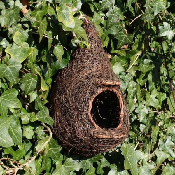 Wildlife World Giant Roost Pocket Robin Nester