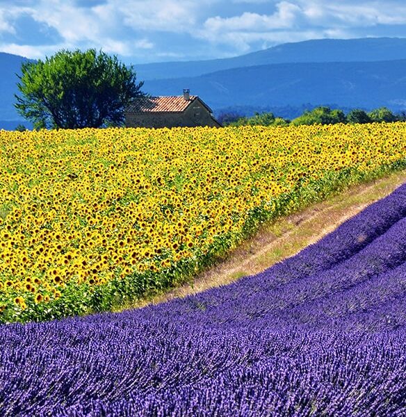 Discovering the Colourful French Riviera