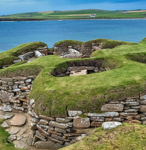 Wildlife & Culture of the Scenic Scottish Isles