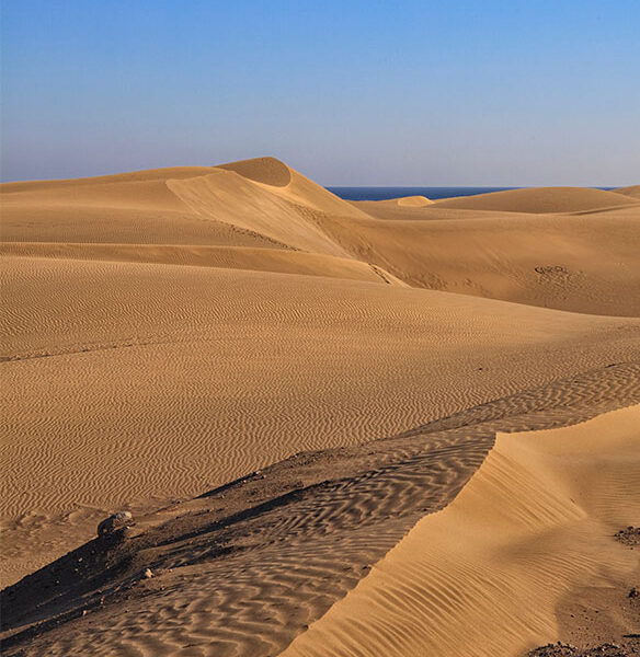 Winter warmth in the Canary Islands