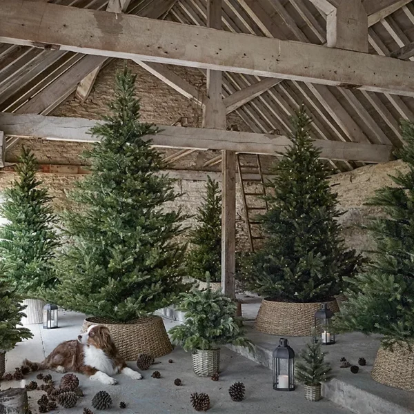 7. 5ft pre lit grand spruce christmas tree