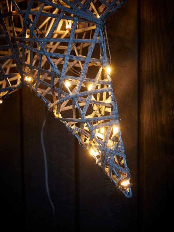 Indoor outdoor dual colour light up star