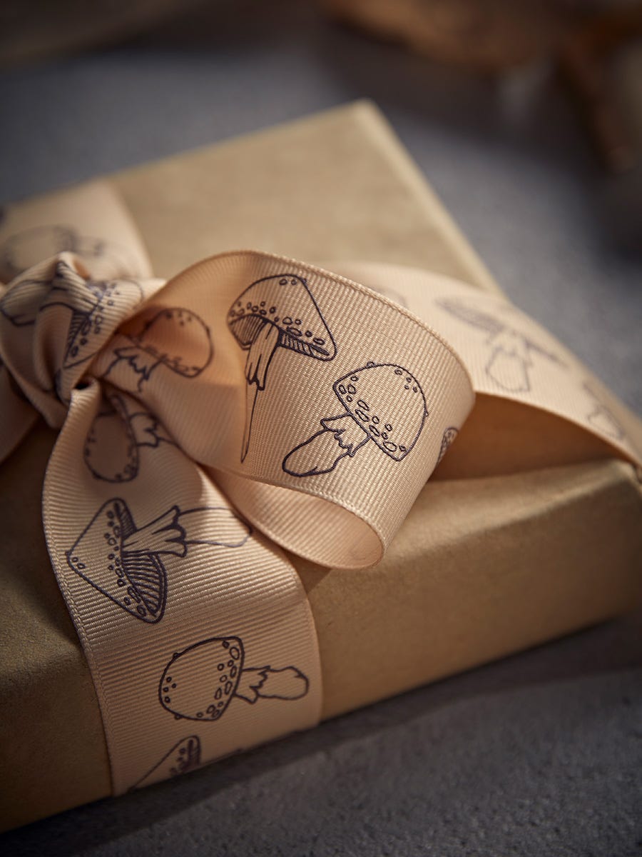 Matte mushroom ribbon Matte mushroom ribbon