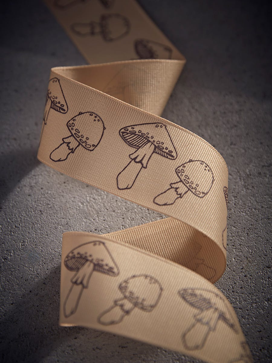 Matte mushroom ribbon Matte mushroom ribbon