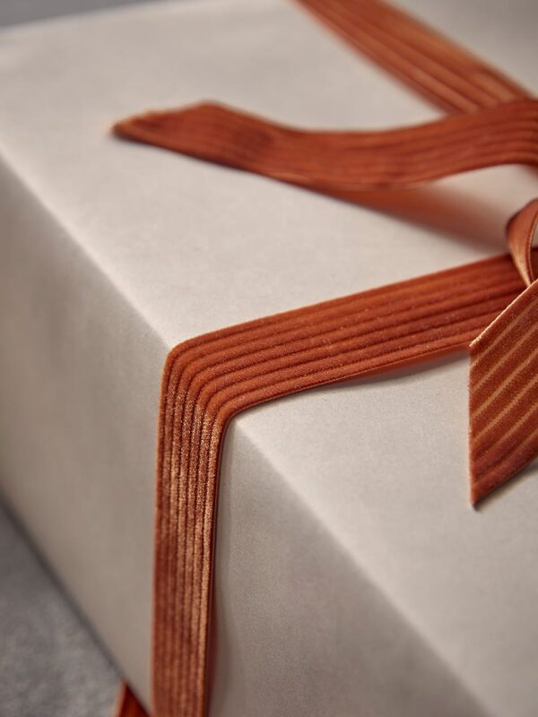 Striped velvet ribbon - cinnamon